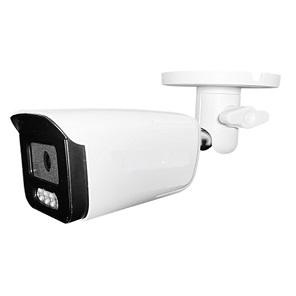 IP камера видеонаблюдения Tels IP-BM830FSAP-DL 2.8